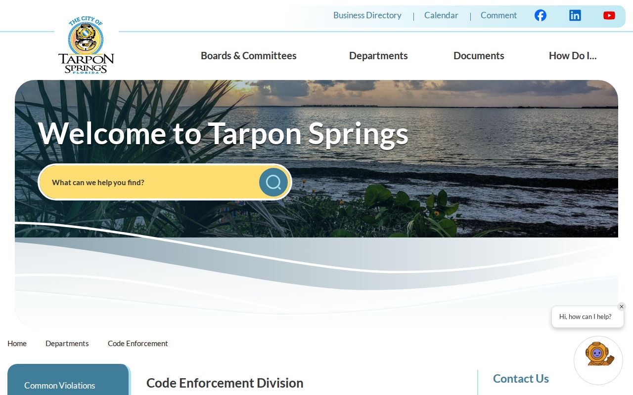 Tarpon Springs code enforcement address records page